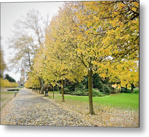 Autumn Photograph Metal Print featuring the photograph Leipzig Memorial Park in Autumn by Ivy Ho