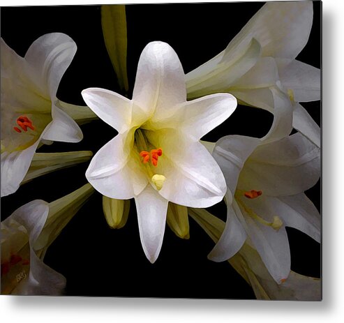 Easter Lily Metal Print featuring the photograph Lily by Ben and Raisa Gertsberg