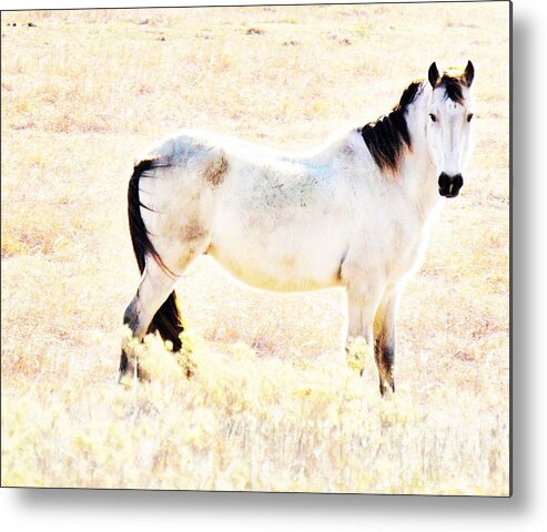 Horse Metal Print featuring the photograph Looking Good by Merle Grenz