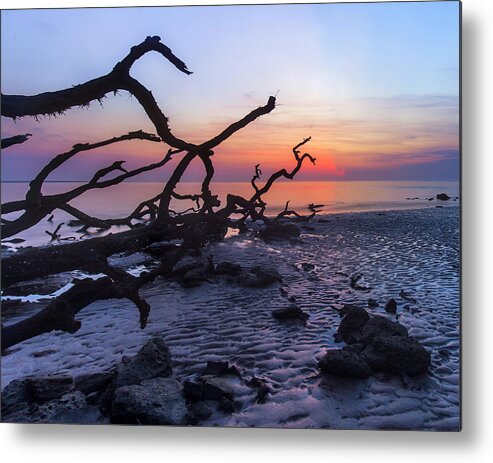 Sunrise Metal Print featuring the photograph Morning Light by Alan Raasch