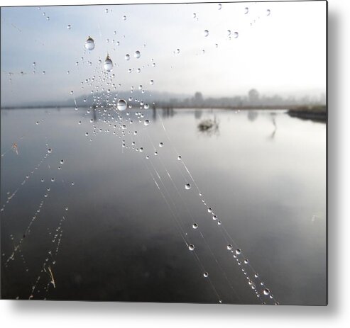 Nw Landscape Metal Print featuring the digital art Morning Pearls by I'ina Van Lawick