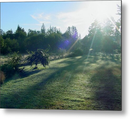 Morning Metal Print featuring the photograph Morning Shadows by Shirley Heyn