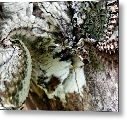 Abstract Metal Print featuring the photograph Nature's Own VIII by P Russell