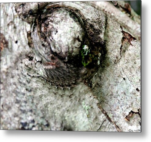 Abstract Metal Print featuring the photograph Nature's Own XI by P Russell