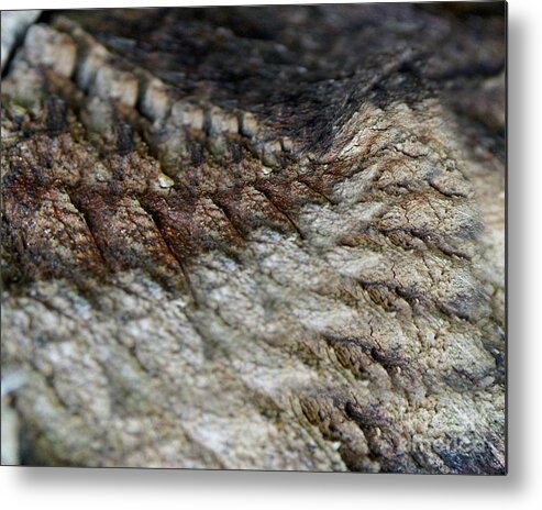 Abstract Metal Print featuring the digital art Natures Secret IV by P Russell