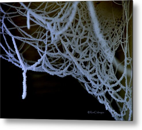 Winter Metal Print featuring the photograph Nature's Winter Abstract #2 by Kae Cheatham
