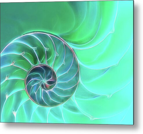 Sea Shell Metal Print featuring the photograph Nautilus Aqua Spiral by Gill Billington