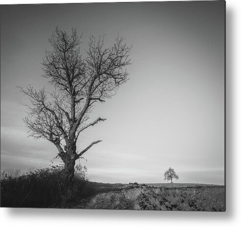 Landscape Metal Print featuring the photograph Neighbours by Davorin Mance