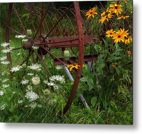 Summer Flower Metal Print featuring the photograph New England Summer Wild Flowers by Bill Wakeley