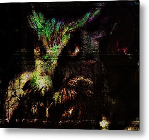 Owl Metal Print featuring the digital art Nightvision by Mimulux Patricia No