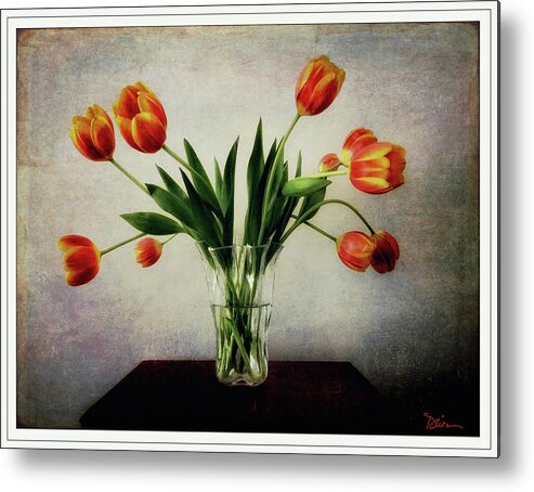 Tulips Metal Print featuring the photograph Old World Tulips by Peggy Dietz