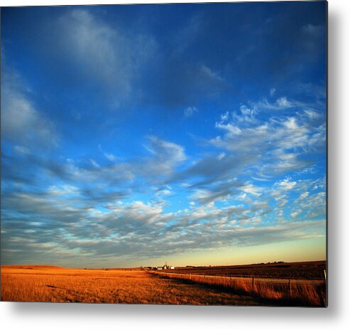 Landscape Metal Print featuring the photograph Open Spaces by Pamela Peters
