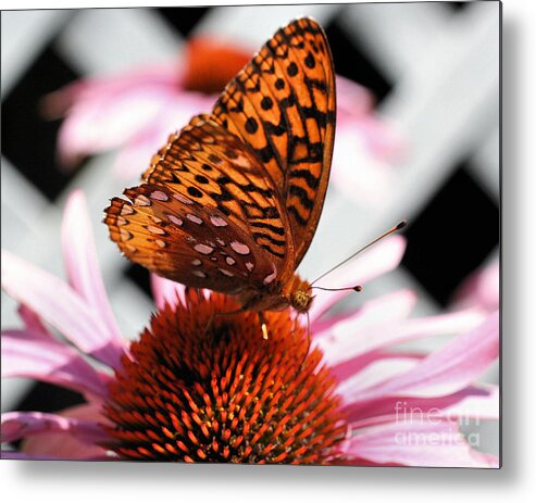 Butterfly Metal Print featuring the photograph Orange Butterfly by Smilin Eyes Treasures