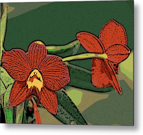 Orchid Metal Print featuring the photograph Orange Orchids by Ann Tracy