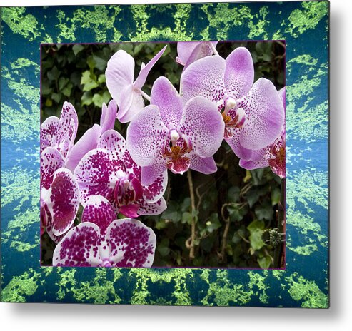 Nature Photos Metal Print featuring the photograph Orchid Kindness by Bell And Todd