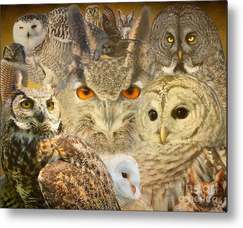 Owls Metal Print featuring the photograph OWL you need is LOVE by Heather King