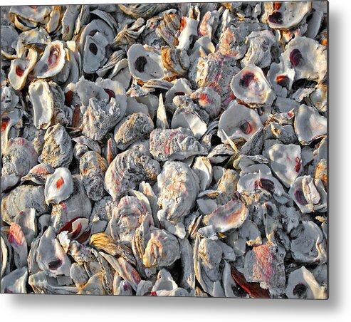 Pelican Metal Print featuring the digital art Oysters Shells by Michael Thomas