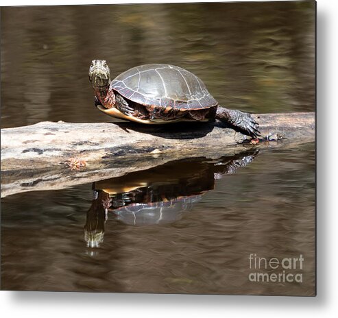 Art Metal Print featuring the photograph Painted Reflection by Phil Spitze