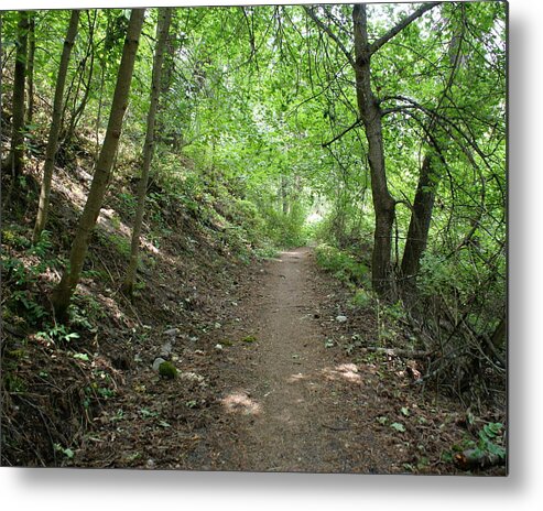Nature Metal Print featuring the photograph Path by the River by Ben Upham III