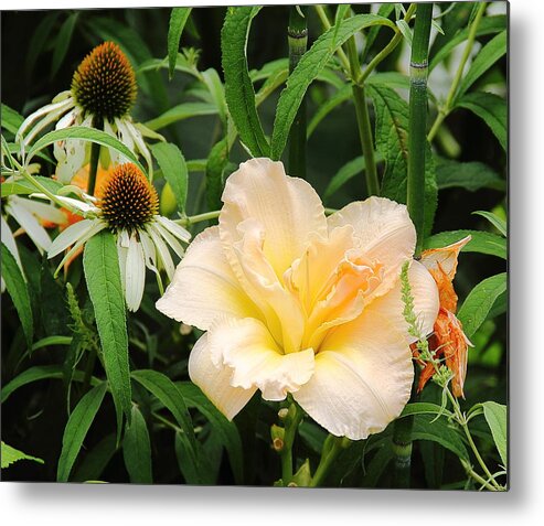 Flowers Metal Print featuring the photograph Peach Daylily by Allen Nice-Webb