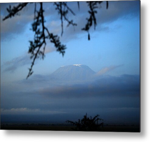 Africa Metal Print featuring the photograph Peaking Through by Pamela Peters