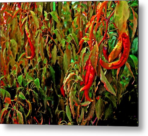  Metal Print featuring the photograph Peppers - Red by Michael Thomas