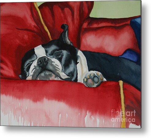 Boston Terrier Metal Print featuring the painting Pillow Pup by Susan Herber