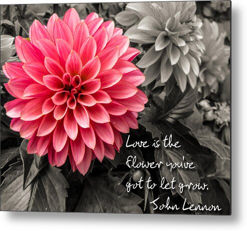 Dahlias Metal Print featuring the photograph Pink Dahlia with John Lennon Quote by Dawn Key