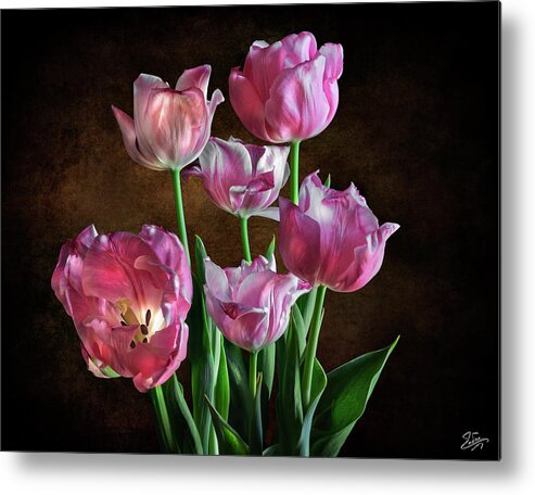 Pink Tulips Metal Print featuring the photograph Pink Tulips by Endre Balogh