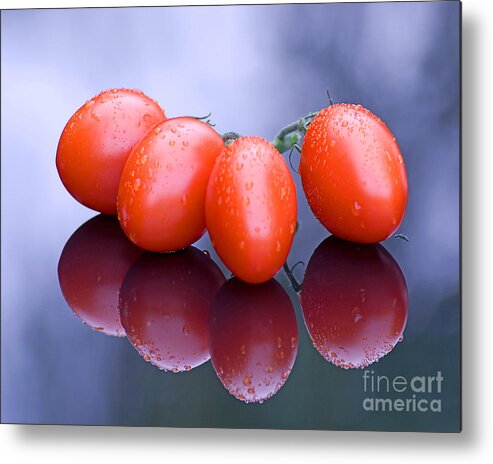 Tomatoes Metal Print featuring the photograph Plum Tomatoes by Chris Smith