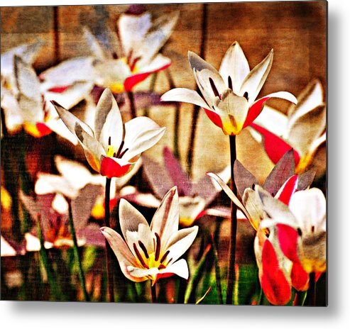 Flowers Metal Print featuring the photograph Pretty Flowers by Marty Koch