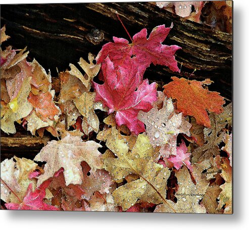 Leaves Metal Print featuring the photograph Rainy Day Leaves by Matalyn Gardner