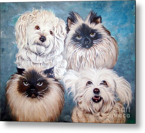 Cats Metal Print featuring the painting Reigning Cats N Dogs by Nancy Cupp