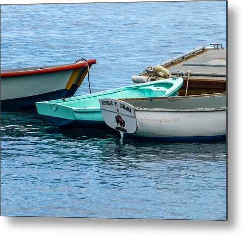 Catalina Metal Print featuring the photograph Republic of Catalina by Pamela Newcomb
