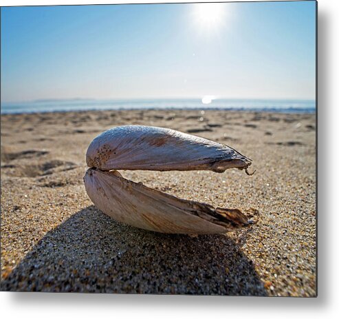 Revere Metal Print featuring the photograph Revere Beach Clam Shell Side Revere MA by Toby McGuire