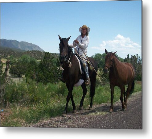 Horses Metal Print featuring the photograph Roadside horses by Anita Burgermeister