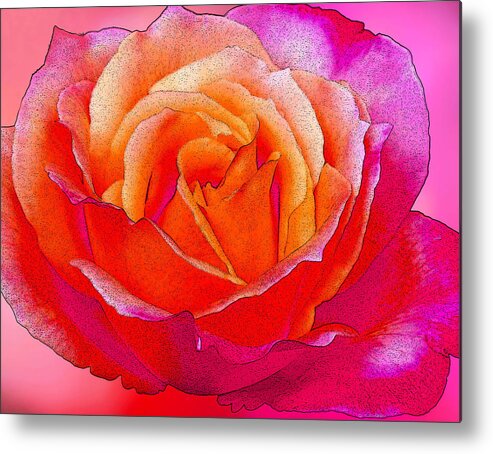 Rose Metal Print featuring the photograph Rose by Margaret Hood