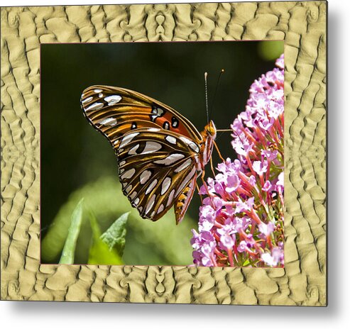  Nature Photos Metal Print featuring the photograph Sandflow Butterfly by Bell And Todd