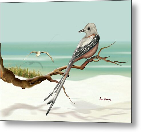 Bird Metal Print featuring the painting Scissor Tailed Flycatcher by Anne Beverley-Stamps