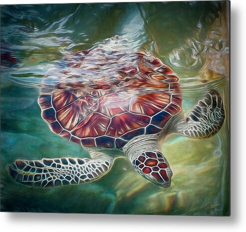 Turtle Metal Print featuring the photograph Sea Turtle Dive by Teresa Wilson