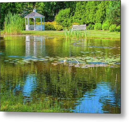 Pond Metal Print featuring the photograph Serene by Cathy Kovarik