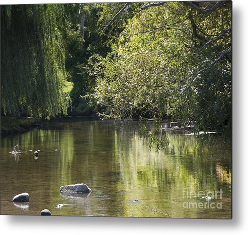 River Metal Print featuring the photograph Shallow River by Tara Lynn