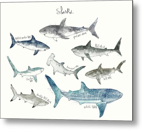 Sharks Metal Print featuring the painting Sharks - Landscape Format by Amy Hamilton