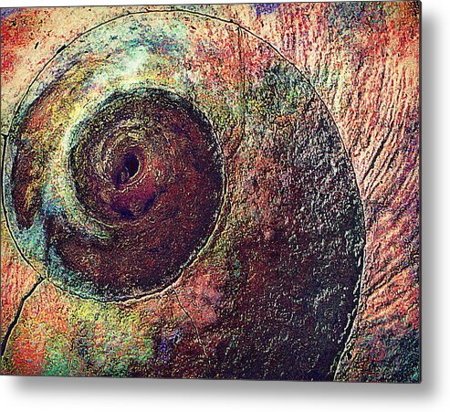 Shell Metal Print featuring the photograph Shelled by Lori Seaman