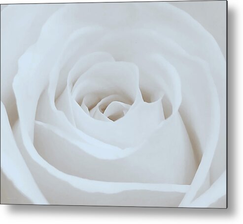 Photography By Suzanne Stout Metal Print featuring the photograph Single White Rose by Suzanne Stout