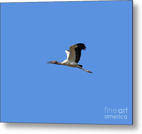 Stork Metal Print featuring the photograph Sky Stork Digital Art .png by Al Powell Photography USA