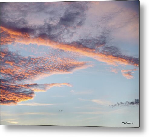 Clouds Metal Print featuring the photograph Sky Variation 20 by Tim Fitzharris