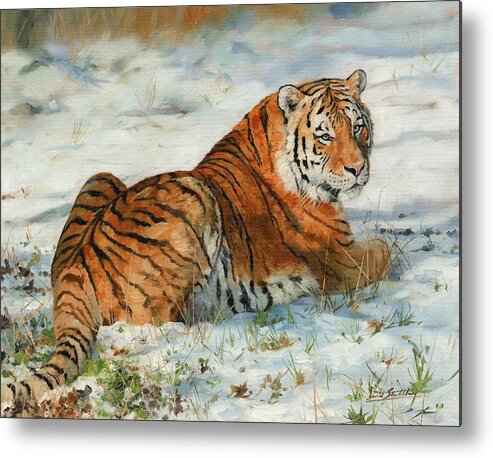 Tiger Metal Print featuring the painting Snow Tiger by David Stribbling