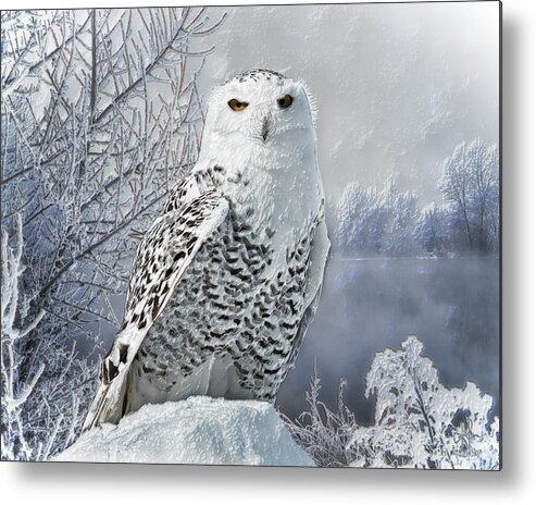 Snowy Owl Metal Print featuring the digital art Snowy Owl by Pennie McCracken