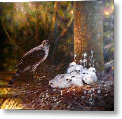 Sparrowhawk Metal Print featuring the painting Sparrowhawk family by Anna Franceova